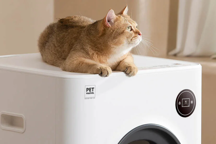 self clean cat litter box